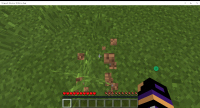 Minecraft_ Windows 10 Edition Beta 8_31_2015 7_27_48 PM.png