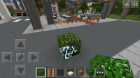 Minecraft bug.PNG